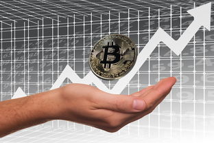 九游app官网下载-英超俱乐部母公司上市路径与股价波动分析，英超球队股份