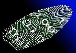 九游网页版官网-运动表现评估技术的可靠性与实用性分析，运动表现测试与评估指南