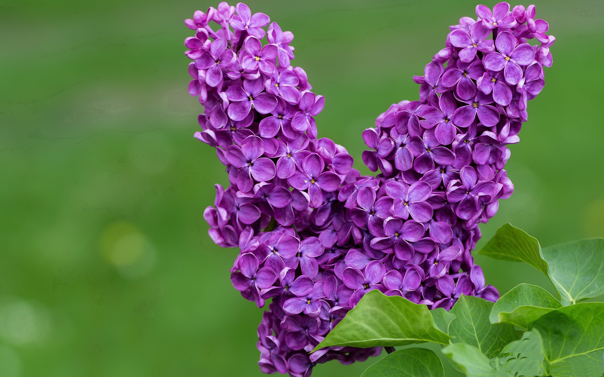 NBA历史最惊天逆转回顾,nba历史最惊天逆转回顾是哪一年