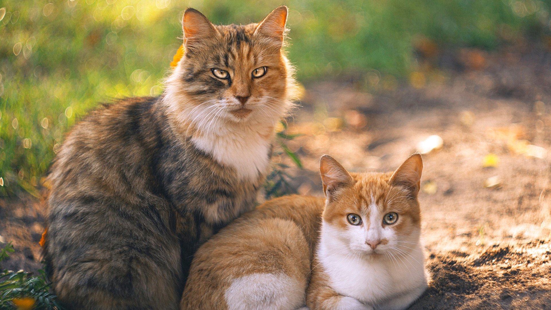 中路直塞成功率是否高于边路渗透传球,直塞最强的中场