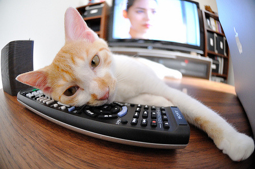 九游9游-伤病高发位置是否与技术对抗强度相关，伤病治疗过程简述