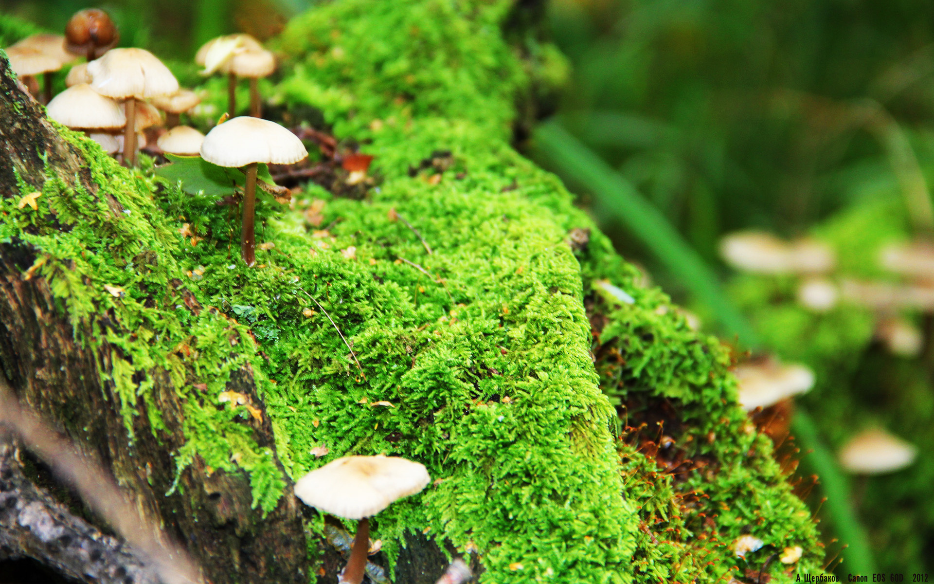 九游网游官网-体育新闻中心上线体育话题热度追踪与趋势洞察平台，体育新闻!