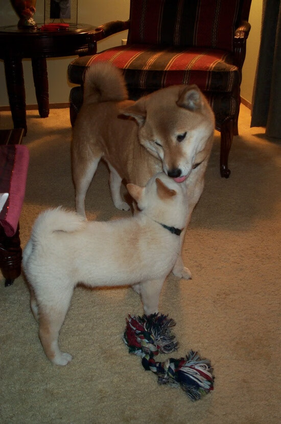 校园足球摄影大赛激发学生参与热情,足球摄影获奖作品