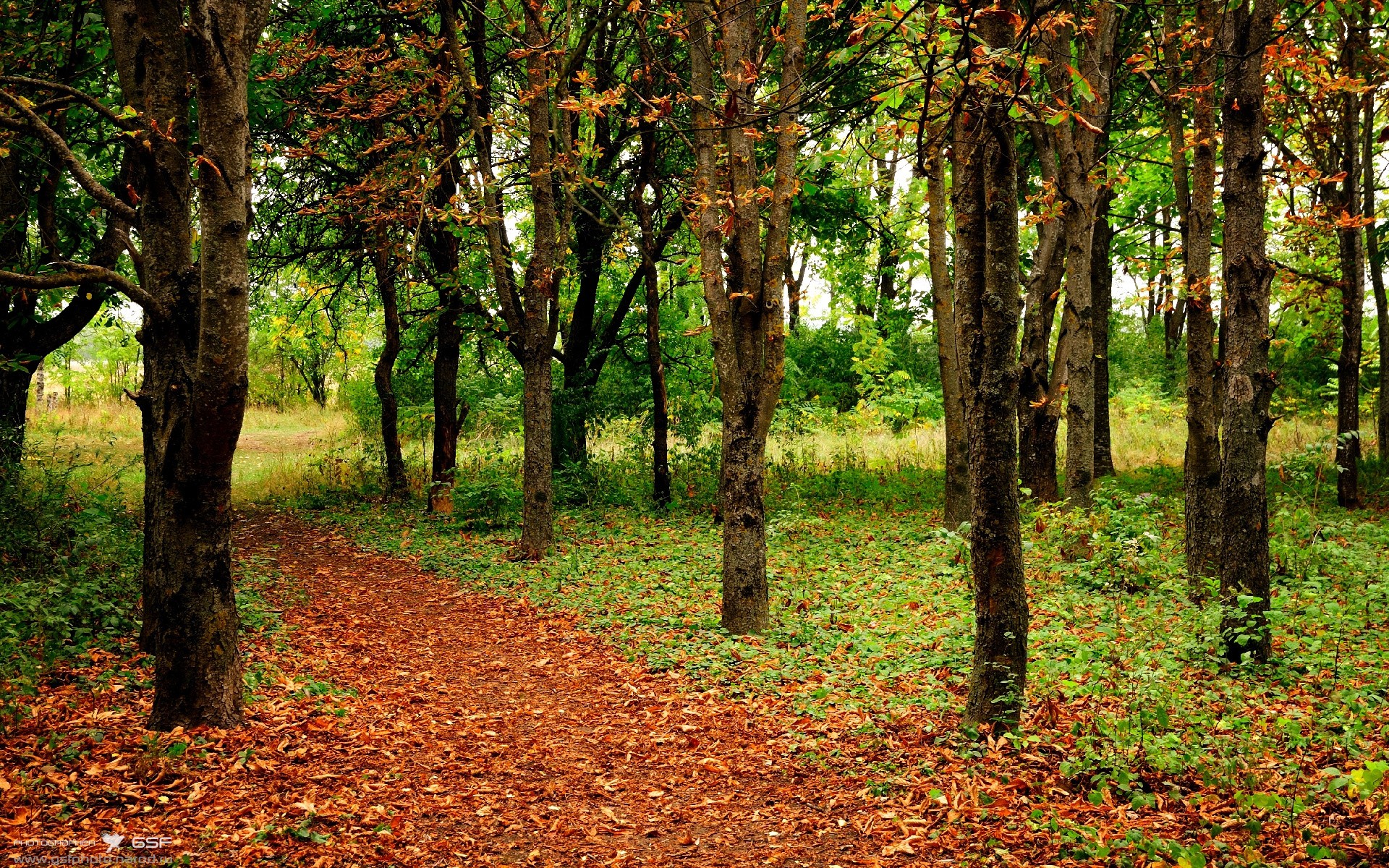 高水平体育后备人才训练基地揭牌,国家高水平体育人才基地
