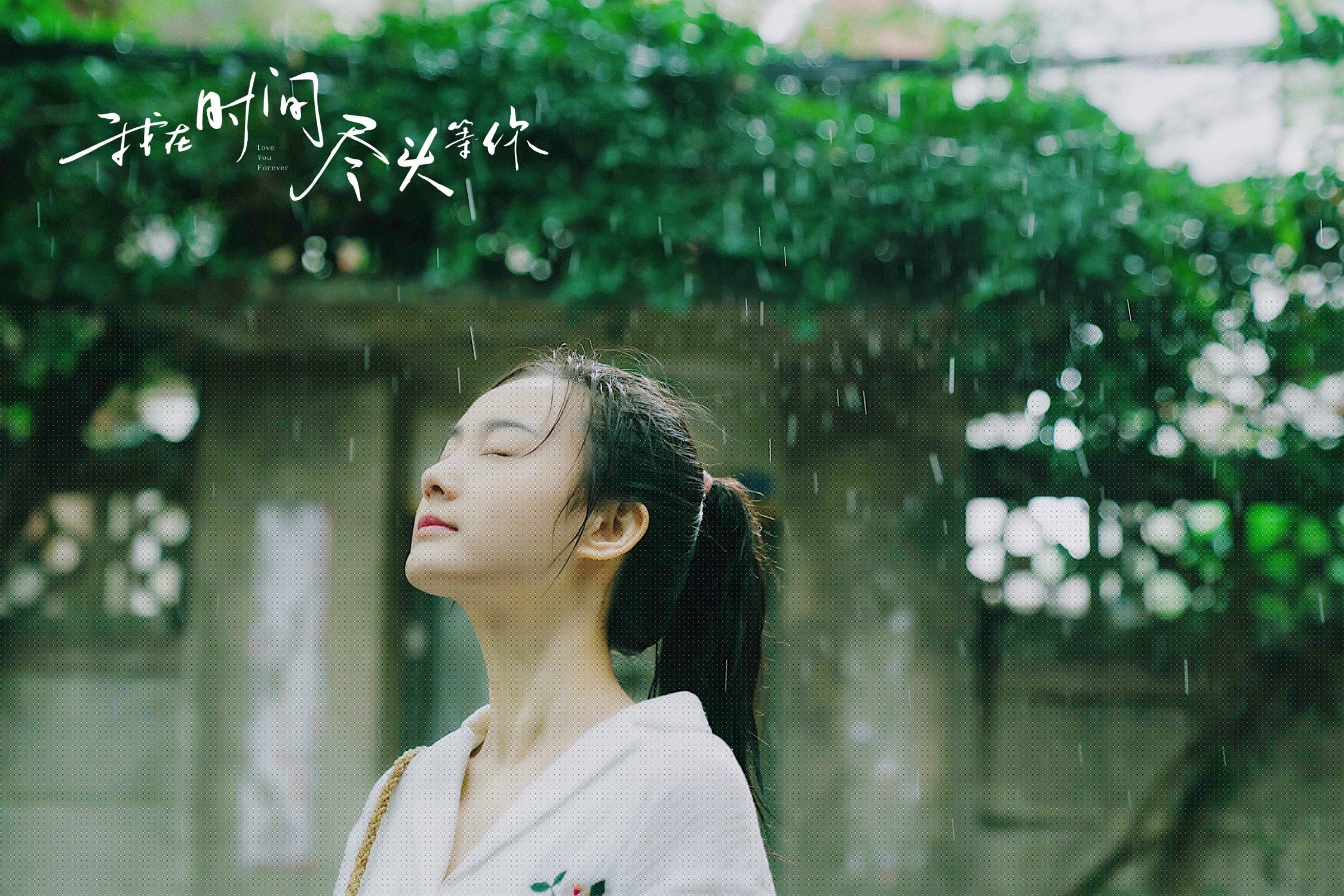 中国足球联赛球迷文化活动精彩纷呈,中国足球球迷统计