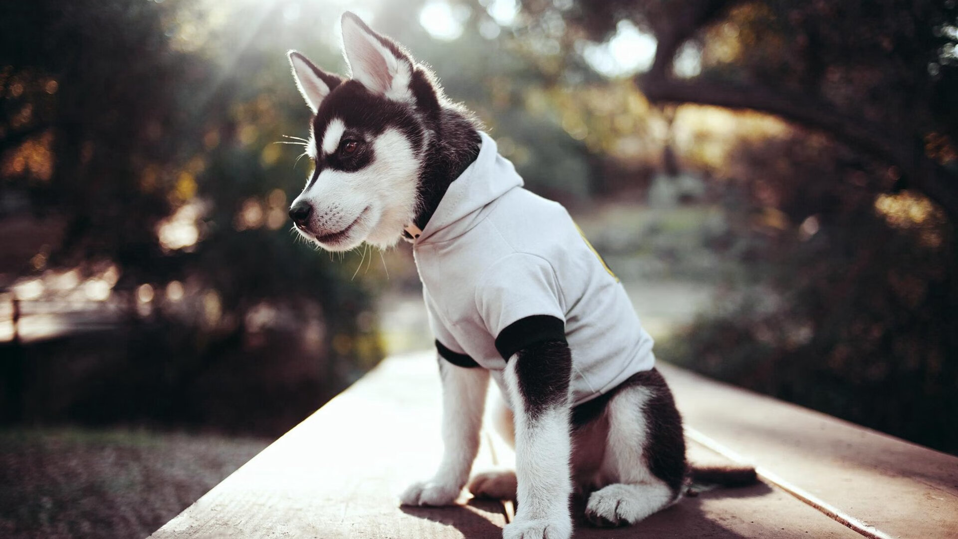 中国足球青训体系逐步优化但仍面临人才流失困境,中国的足球青训体系