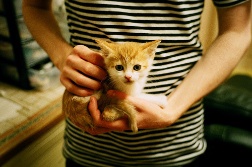 九游（jiuyou.com）游戏-乌拉圭全队士气高昂，期待在国际舞台上有精彩表现