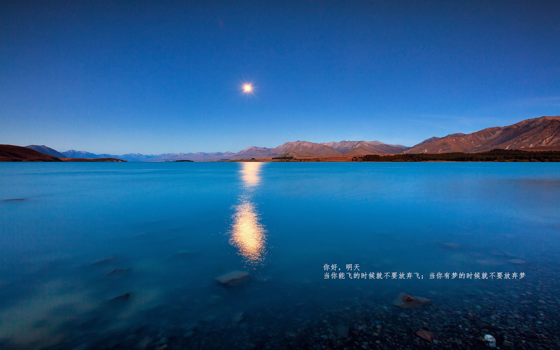 九游jiuyou-南非橄榄球队的阵容深度使其在全球赛场上具有优势，南非橄榄球队员